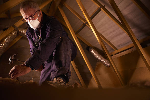 Best Insulation for Specific Applications in East Bernard, TX